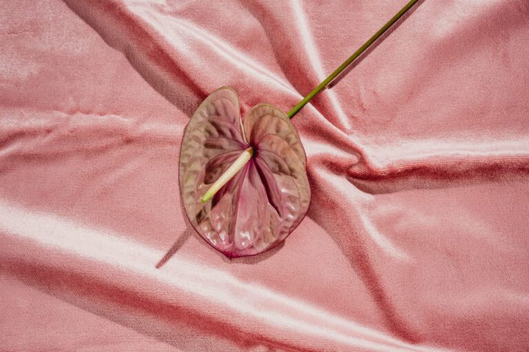 abstract-image-of-sex-phallic-flower-on-pink-velvet-like-fabric